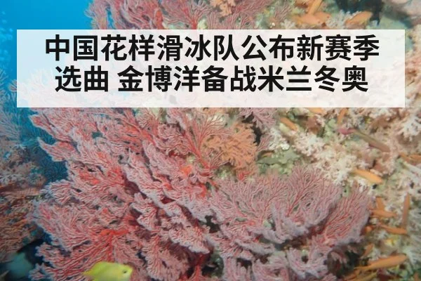 中国花样滑冰队公布新赛季选曲 金博洋备战米兰冬奥